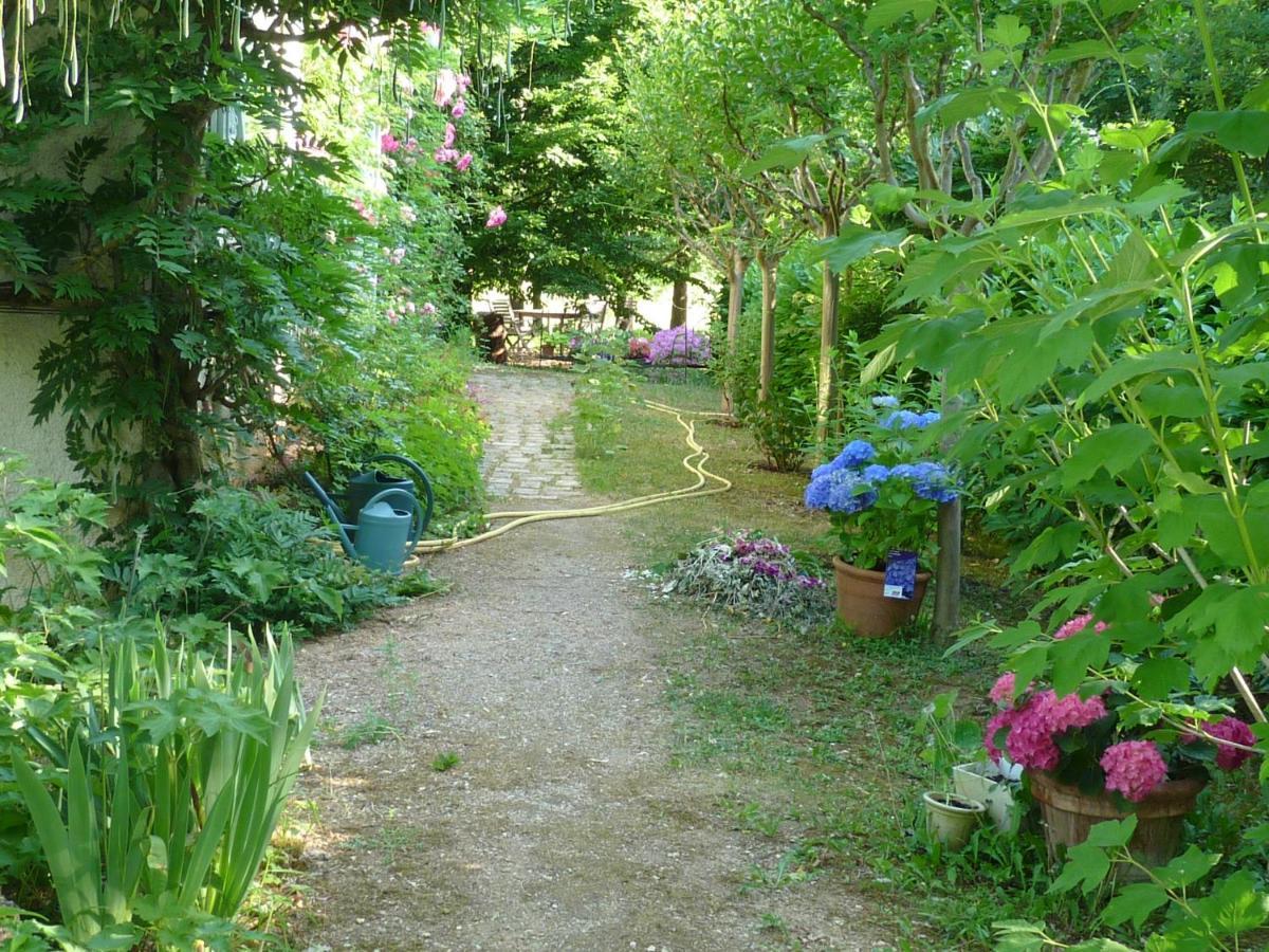 L'Oree Du Bois Luzech Exteriér fotografie